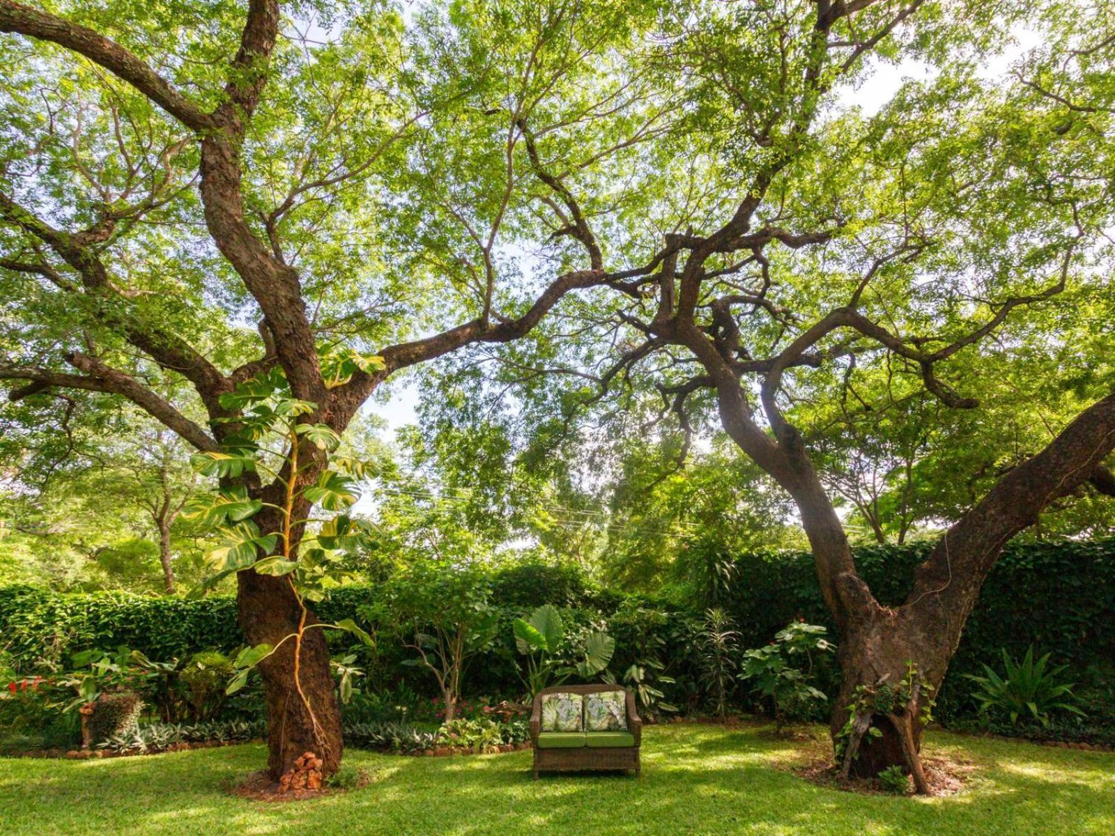 The Courtney Lodge Air Terjun Victoria Bagian luar foto